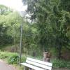 007_holzfigur_2_bank_rombergpark_dortmund_.jpg