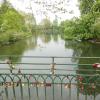 010_liebesschloesser_bruecke_rombergpark_dortmund_.jpg