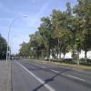 IMAG0822.jpg