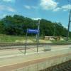P1090580.jpg