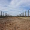 auschwitz-2-birkenau-500.jpg