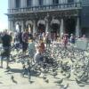 dsc00114.jpg