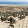 fuerteventura-kanaren-28_135006.jpg