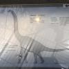 naturkundemuseum_berlin_2016_-_7.jpg