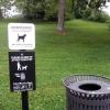 p01308_90767x-virginia-8071608-park-hunde.jpg