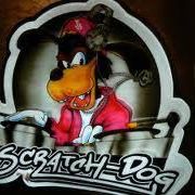 Profile picture for user Luis Scratchdog