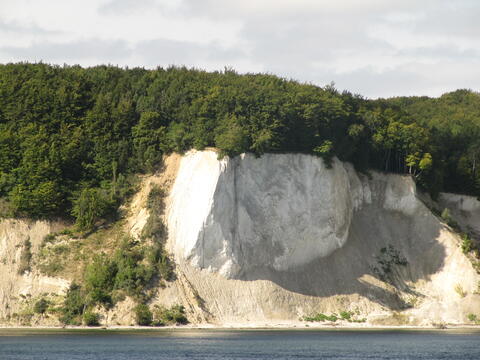 Kreidefelsen im Nationalpark Jasmund