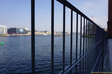 Treptow und Spree 3