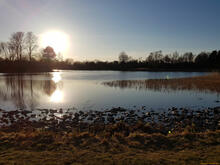 Sonne & See